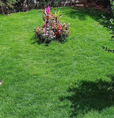 العين السخنة Villa *